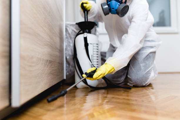 Best Rat Extermination Near Me  in Harbison Nyon, CA