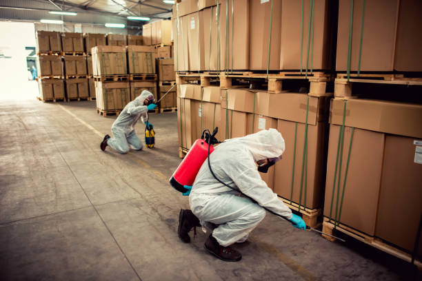 Best Cockroach Control Services  in Harbison Nyon, CA
