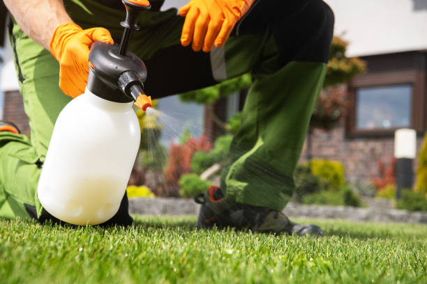 Best Bird Control  in Harbison Nyon, CA