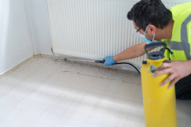 Best Commercial Pest Control Services  in Harbison Nyon, CA