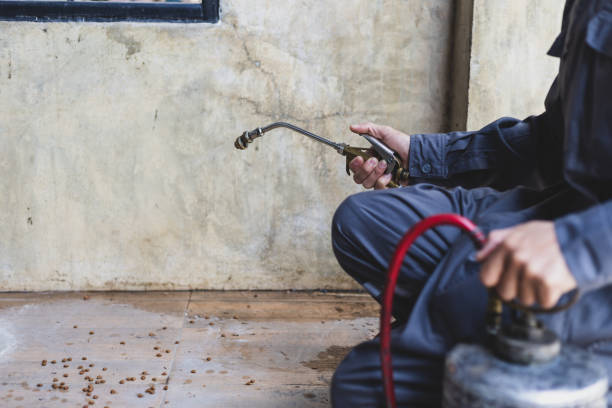 Best Wasp Removal Services  in Harbison Nyon, CA